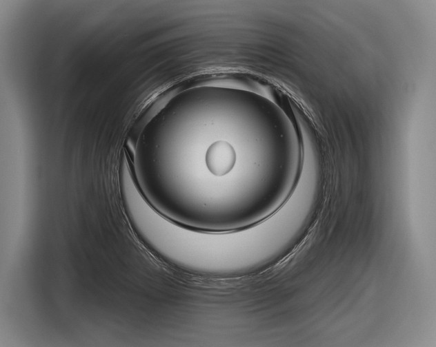 X0000116591273200912171546