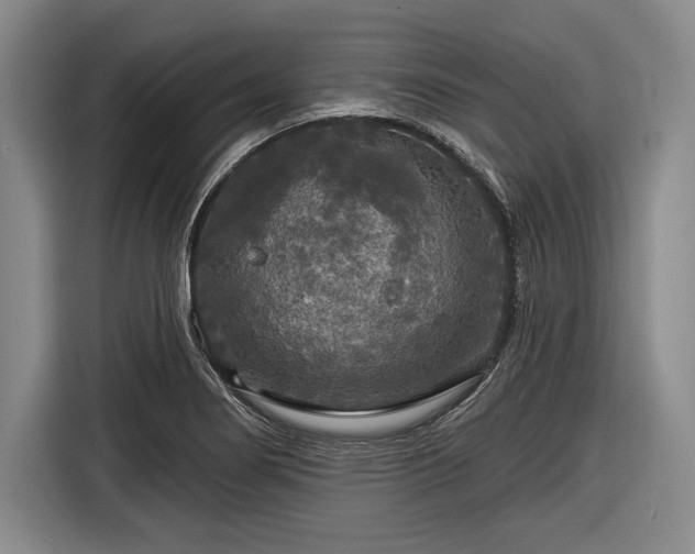 X0000116591274200912171546