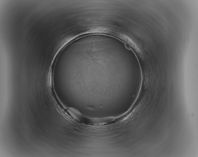 X0000116591276200912171546