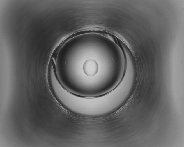 X0000116591277200912171546