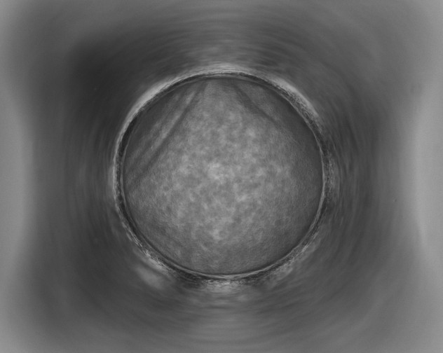 X0000116591278200912171546