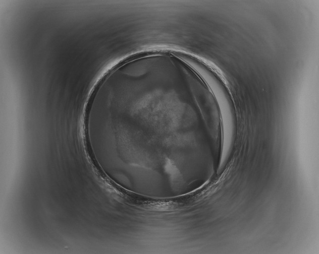 X0000116591279200912171546