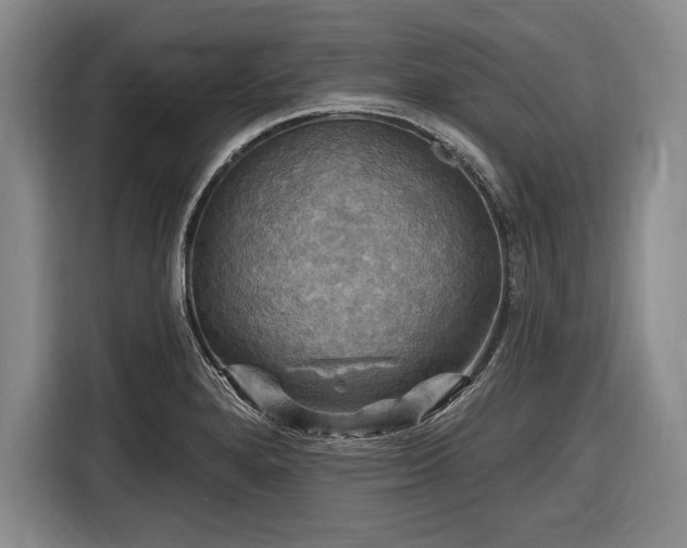 X0000116591280200912171546