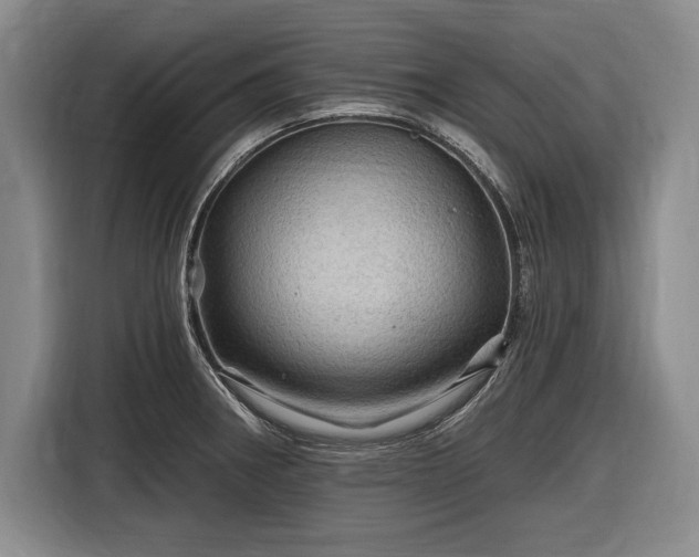 X0000116591282200912171546