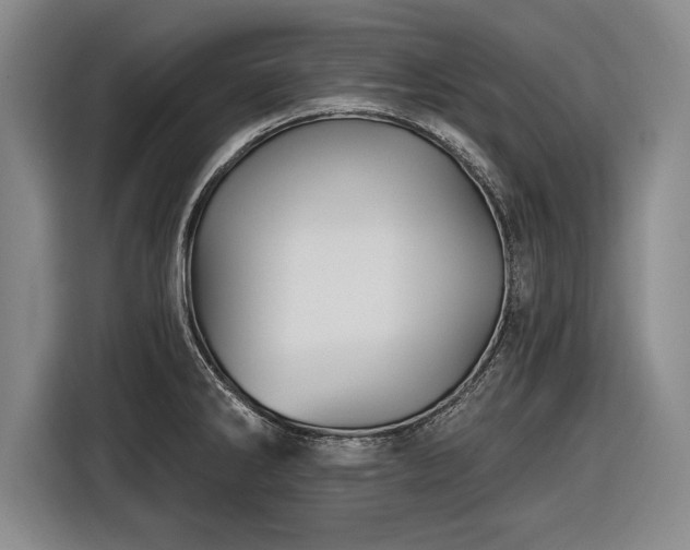 X0000116591286200912171546