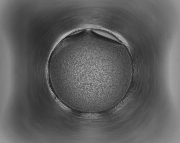 X0000116591287200912171546