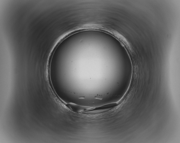 X0000116591288200912171546