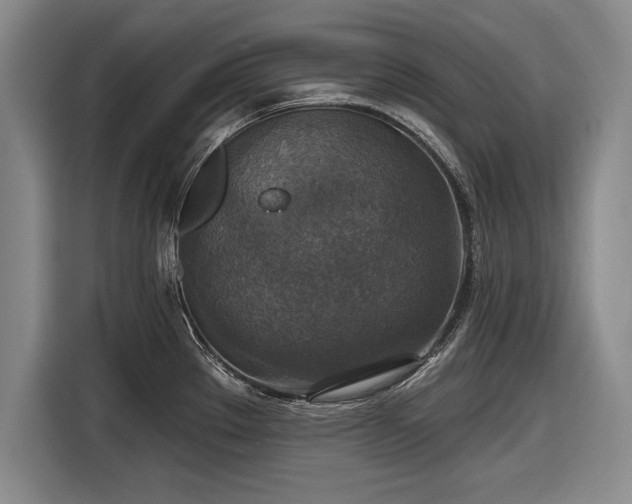 X0000116591289200912171546