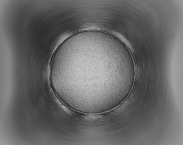 X0000116591290200912171546