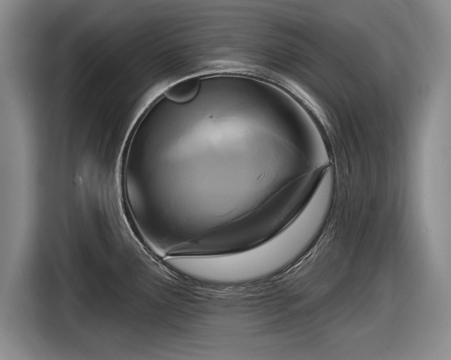 X0000116591291200912171546