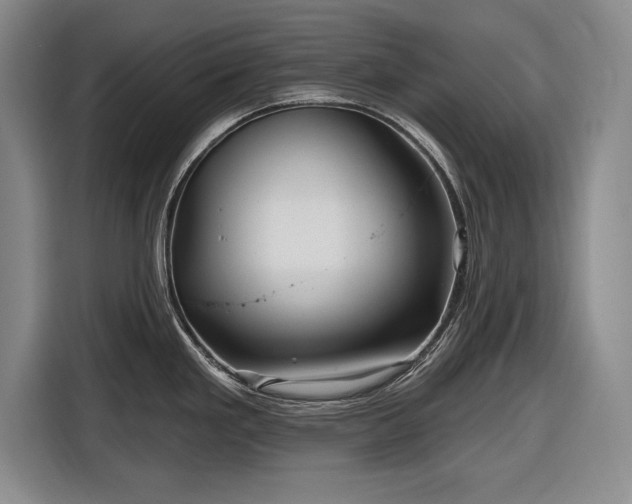 X0000116591293200912171546