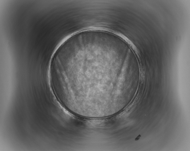 X0000116591294200912171546