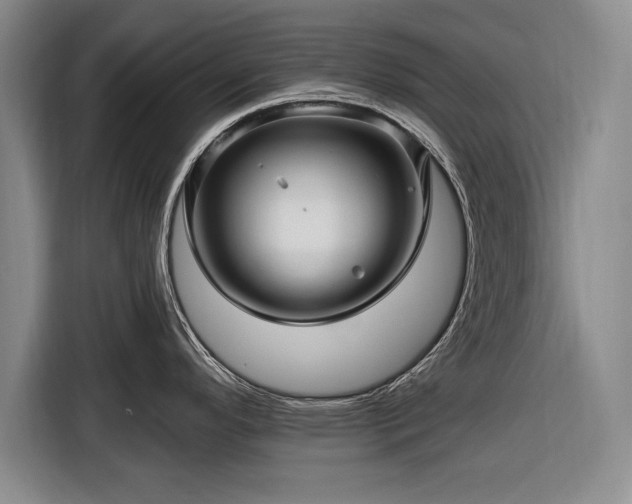 X0000116591296200912171546