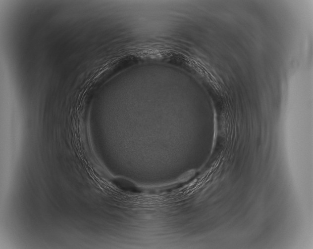 X0000116591297200912171545