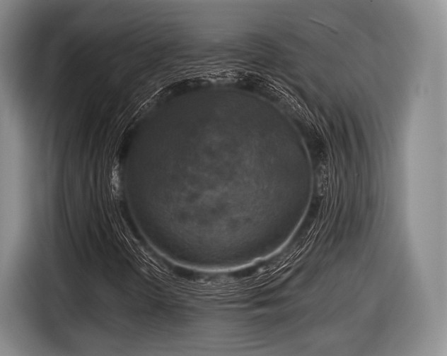 X0000116591298200912171545