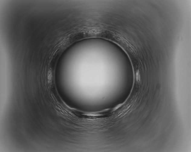 X0000116591299200912171545