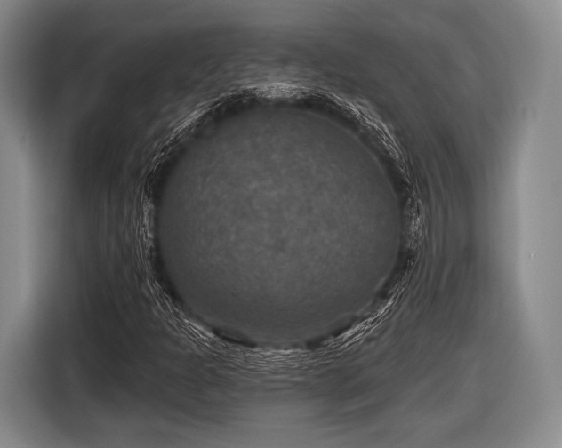 X0000116591301200912171545