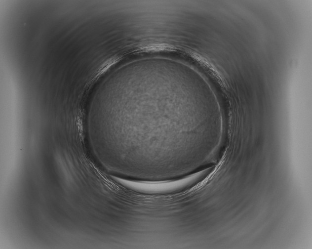 X0000116591305200912171545