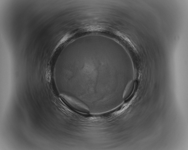 X0000116591306200912171545