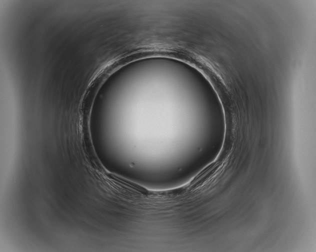 X0000116591307200912171545