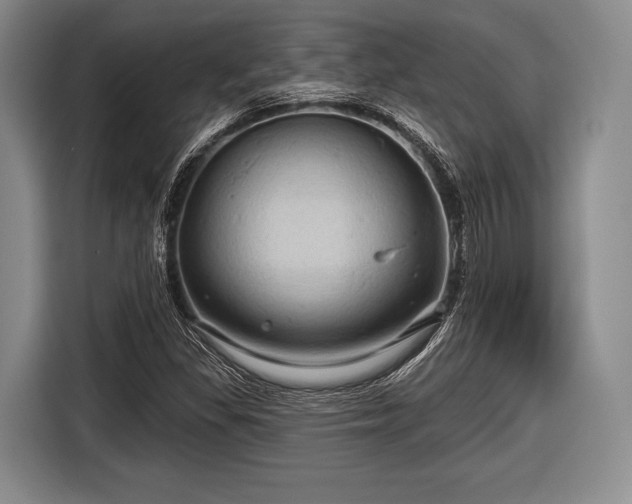 X0000116591309200912171545