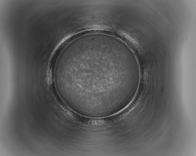 X0000116591310200912171545