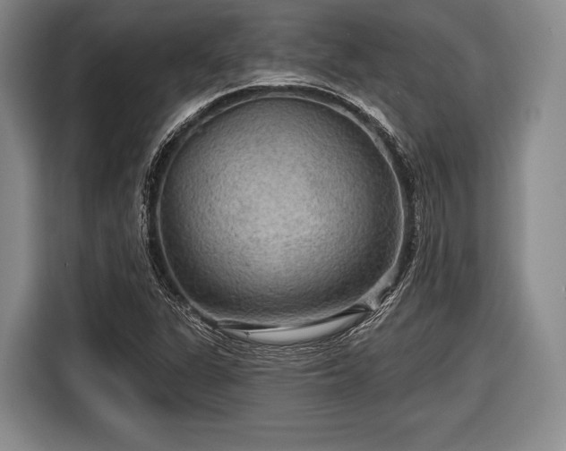 X0000116591311200912171545