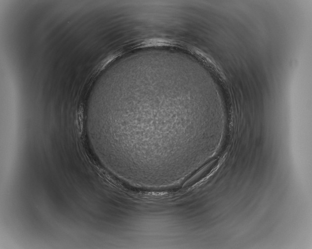 X0000116591313200912171545