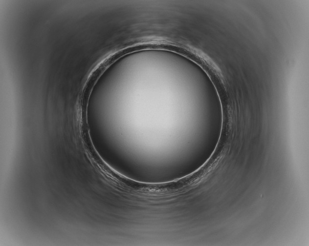 X0000116591318200912171545