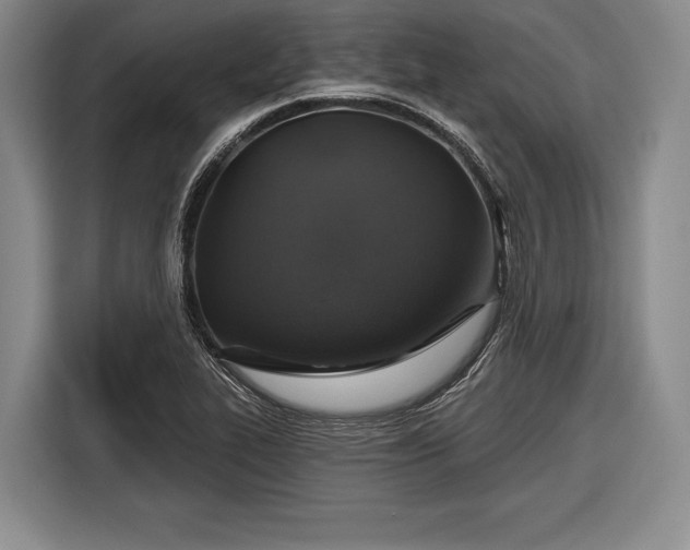 X0000116591319200912171545