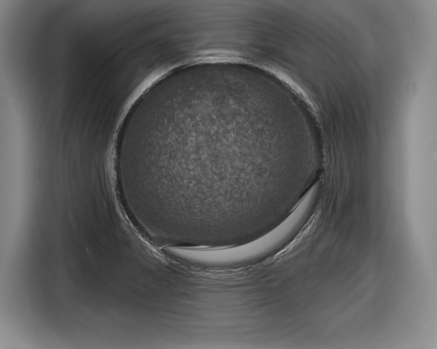 X0000116591325200912171545