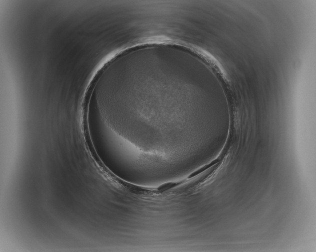 X0000116591326200912171545