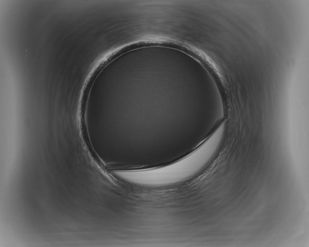 X0000116591327200912171545