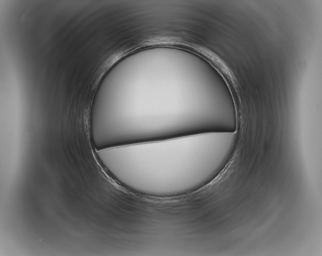 X0000116591337200912171546