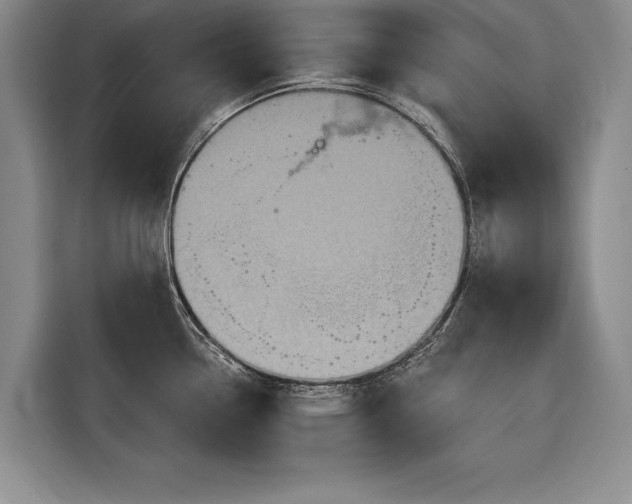 X0000116591338200912171546