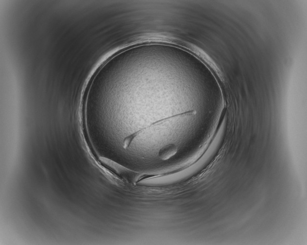 X0000116591339200912171546