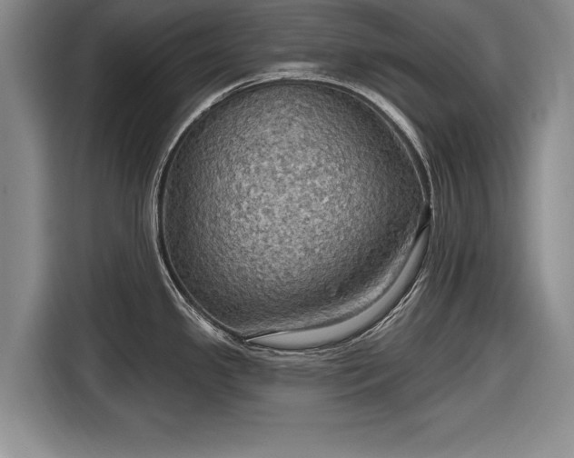 X0000116591341200912171546