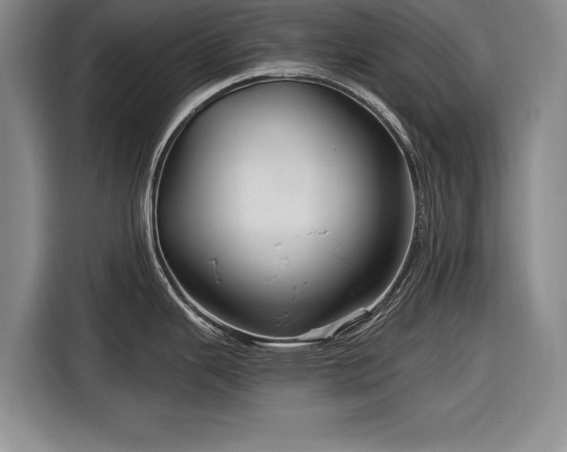 X0000116591343200912171546