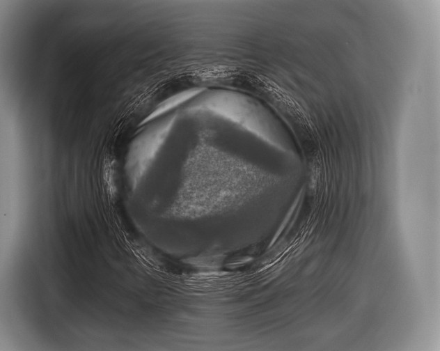 X0000116591346200912171545