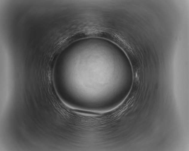 X0000116591348200912171545