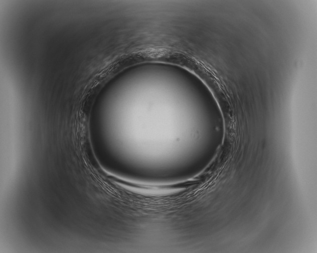 X0000116591349200912171545