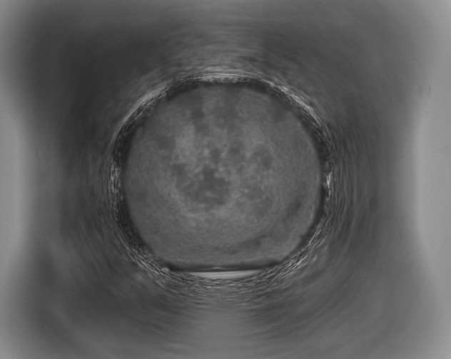 X0000116591351200912171545