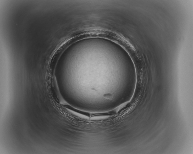 X0000116591352200912171545