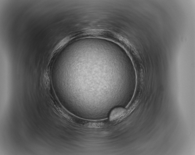 X0000116591354200912171545