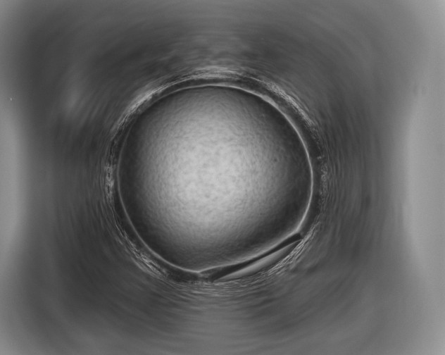 X0000116591355200912171545