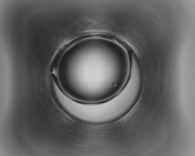 X0000116591357200912171545