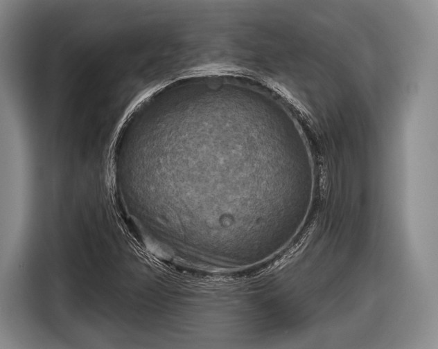 X0000116591358200912171545