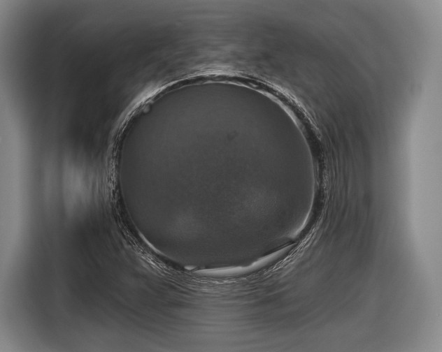 X0000116591359200912171545