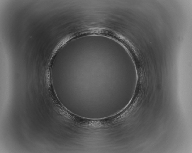 X0000116591362200912171545