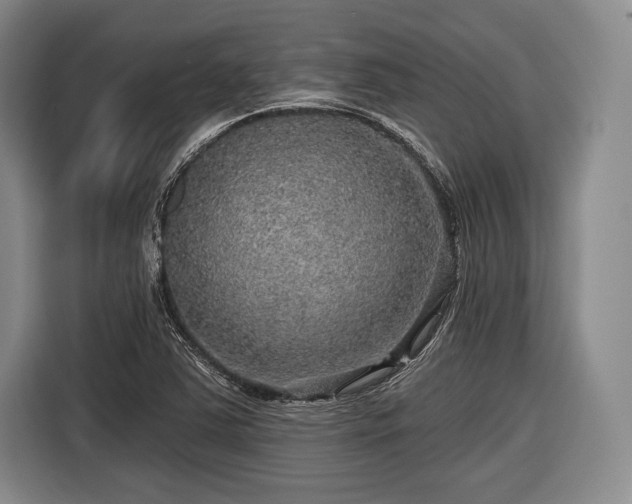 X0000116591363200912171545